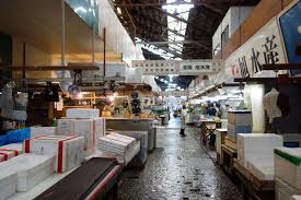 News Settore Ittico 2026 